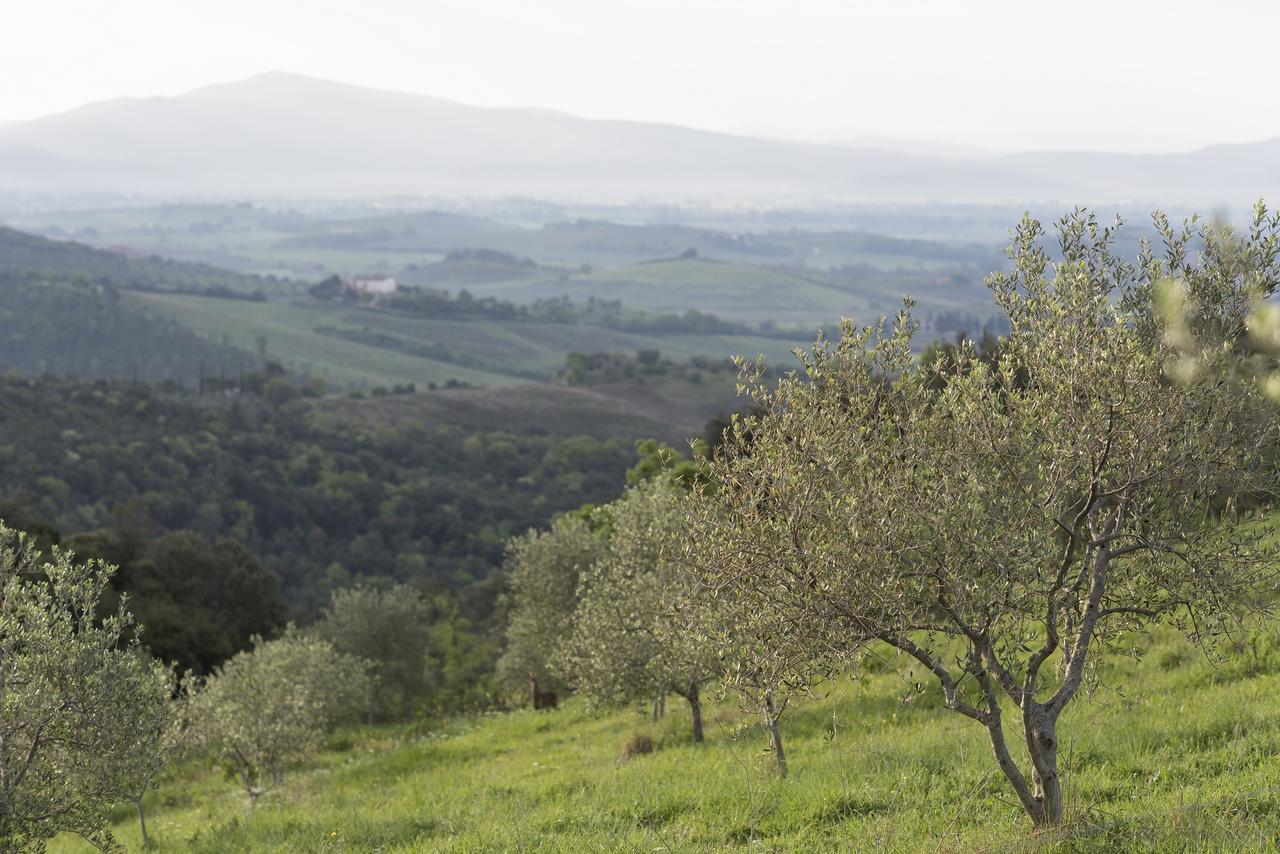 Sequerciani Βίλα Tatti Εξωτερικό φωτογραφία